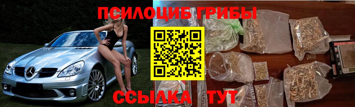 Красный Сулин  Галлюциногенные грибы MAGIC MUSHROOMS  Псилоцибиновые грибы ЛСД  Вход с VPN 